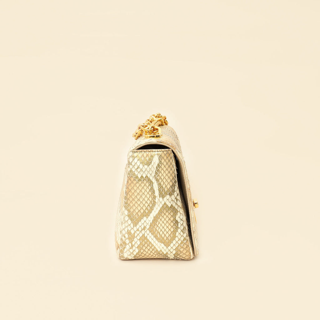 Christian Dior Metallic Golden Beige Python Caro Flap Medium Shoulder Bag