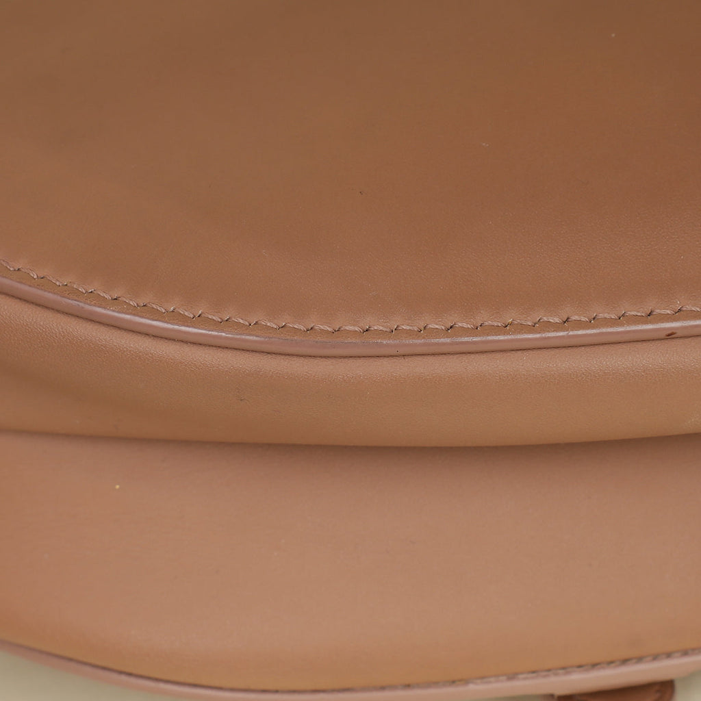Christian Dior Rose Des Vents Ultramatte Saddle Medium Bag