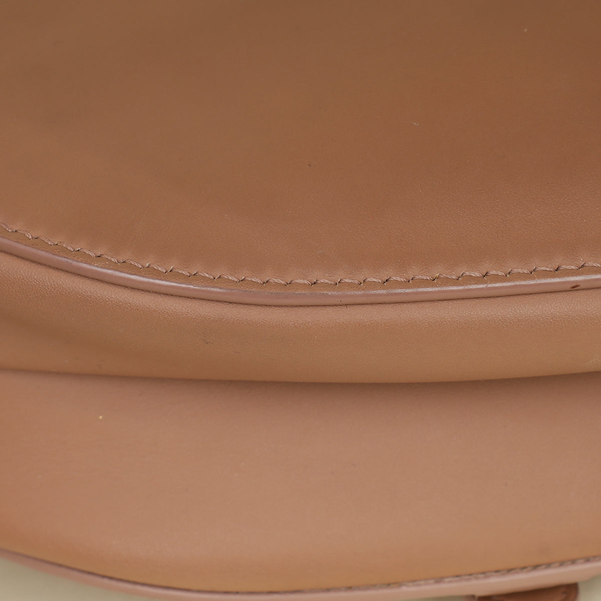 Christian Dior Rose Des Vents Ultramatte Saddle Medium Bag