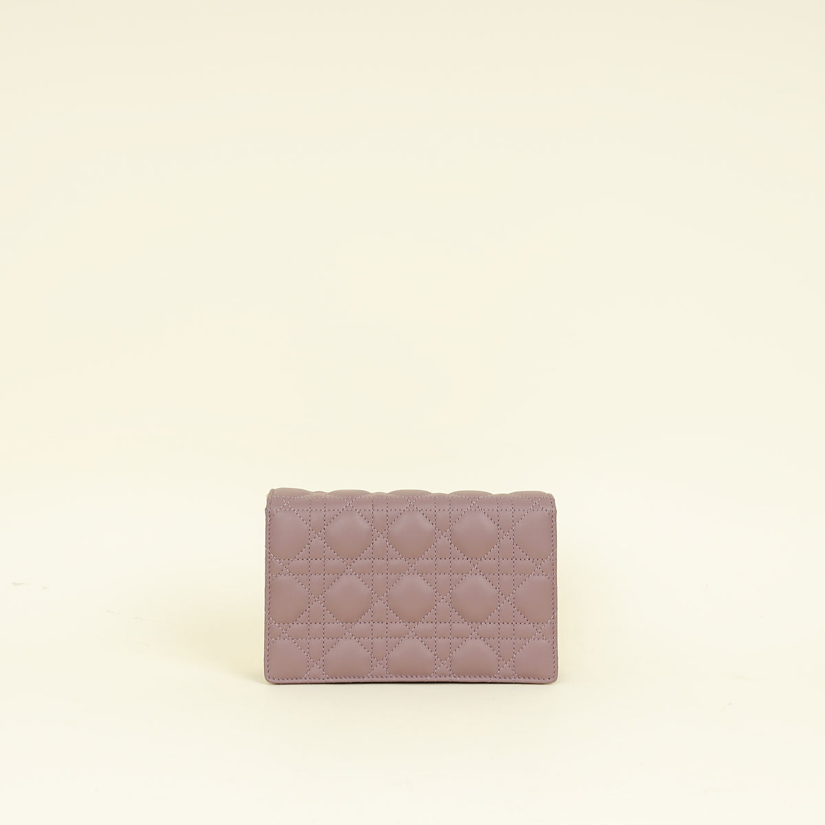 Christian Dior Plum My Dior Daily Pouch with Chain