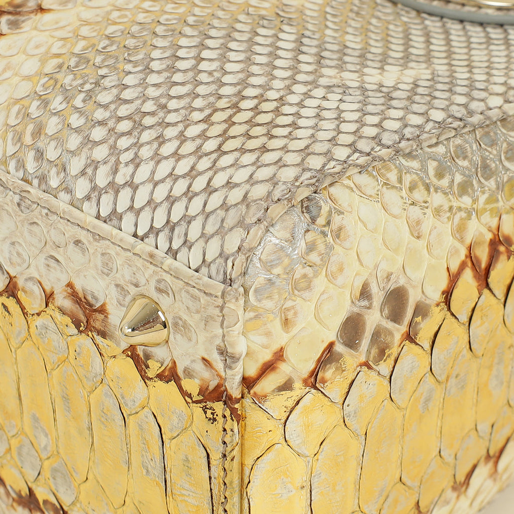 Christian Dior Bicolor Python Lady Dior Medium Bag