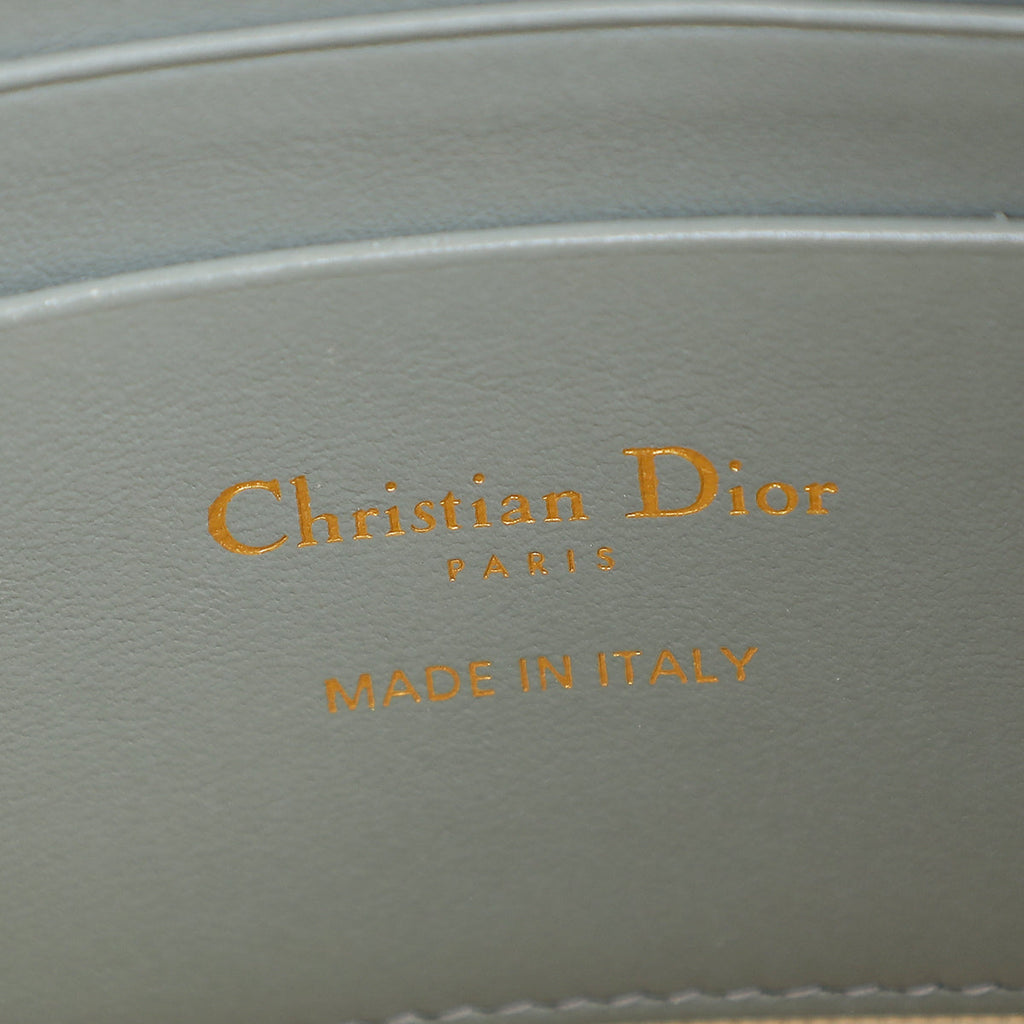 Christian Dior Gray 30 Montaigne Dea Pouch
