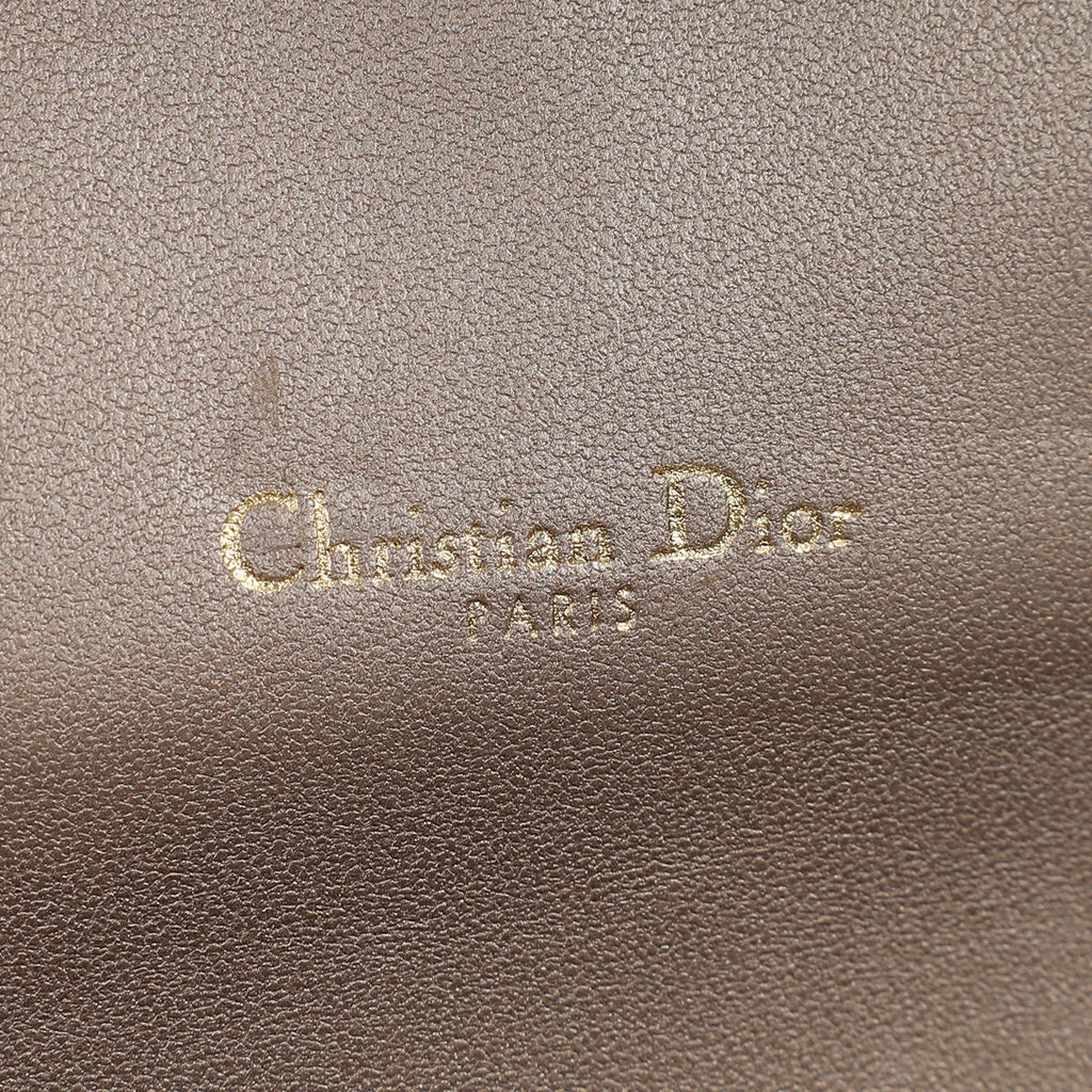 Christian Dior Metallic Champagne Saddle Long Wallet with Chain