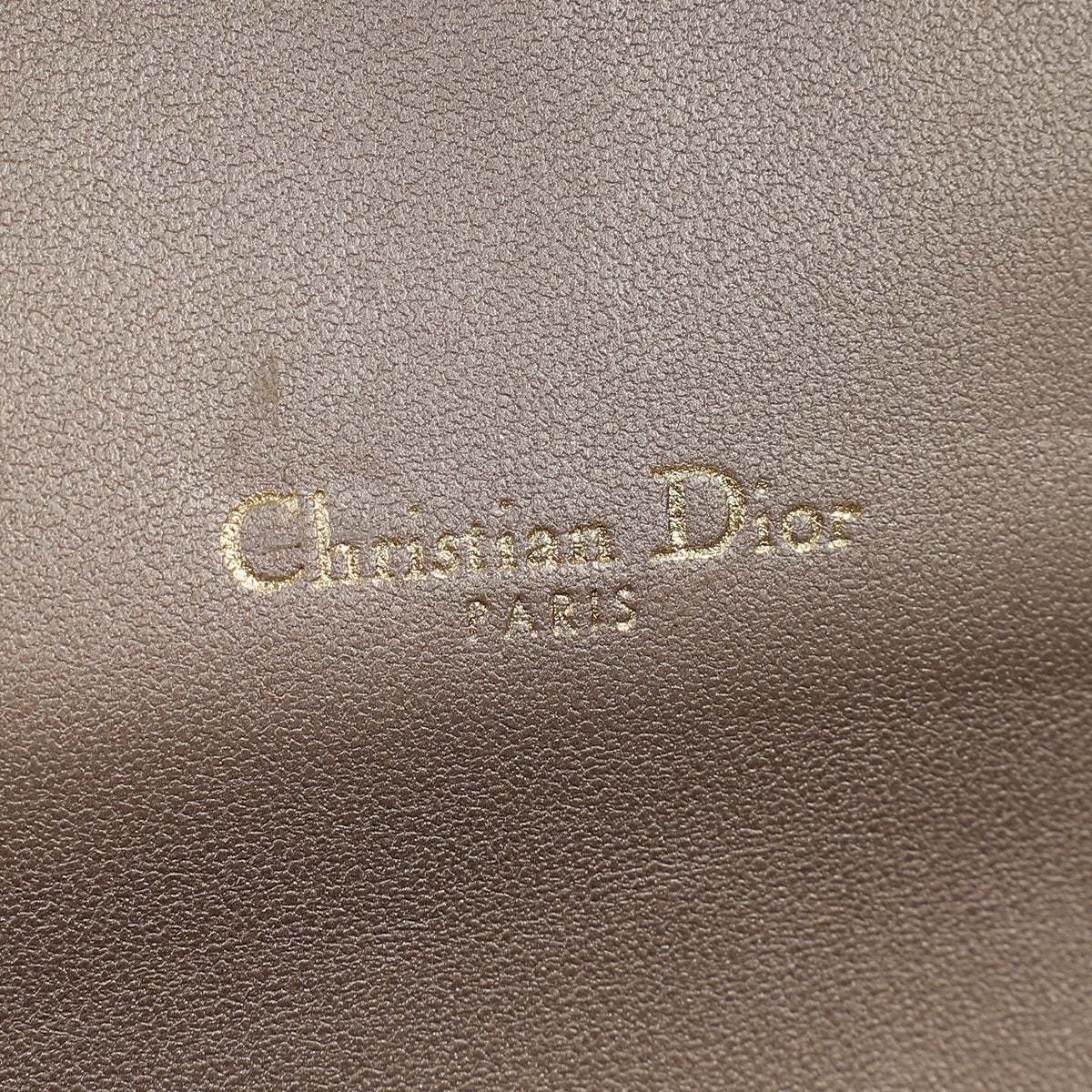 Christian Dior Metallic Champagne Saddle Long Wallet with Chain