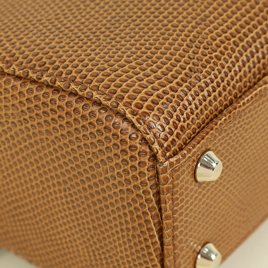 Christian Dior Brown Lizard Mini Chain Lady Dior Bag