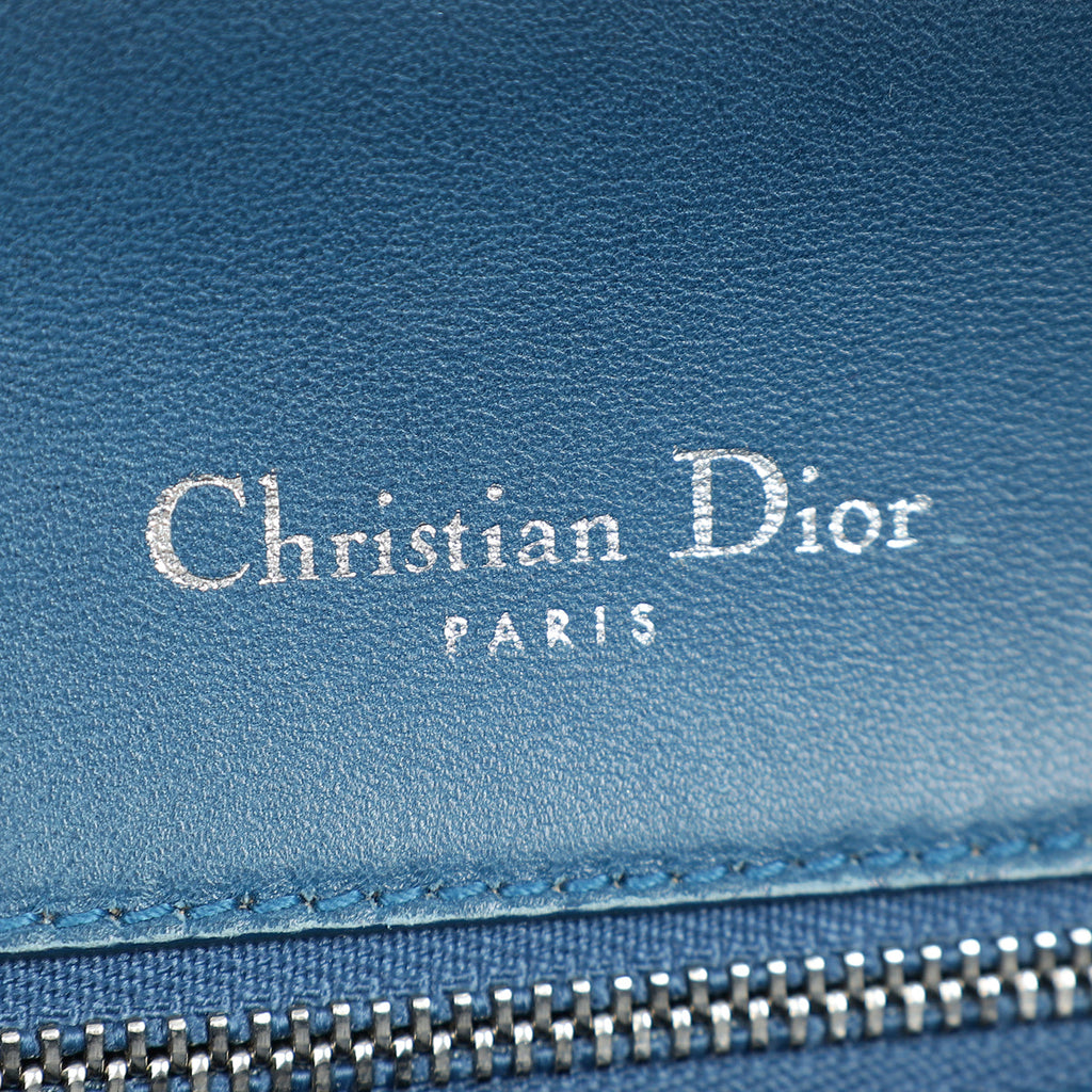Christian Dior Blue Python Diorama Shoulder Bag