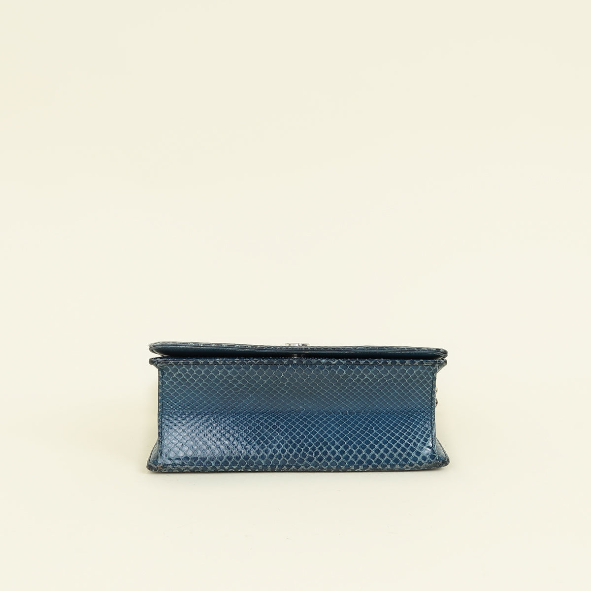 Christian Dior Blue Python Diorama Shoulder Bag