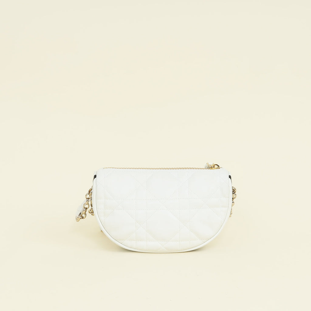 Christian Dior Bicolor Vibe Hobo Bag