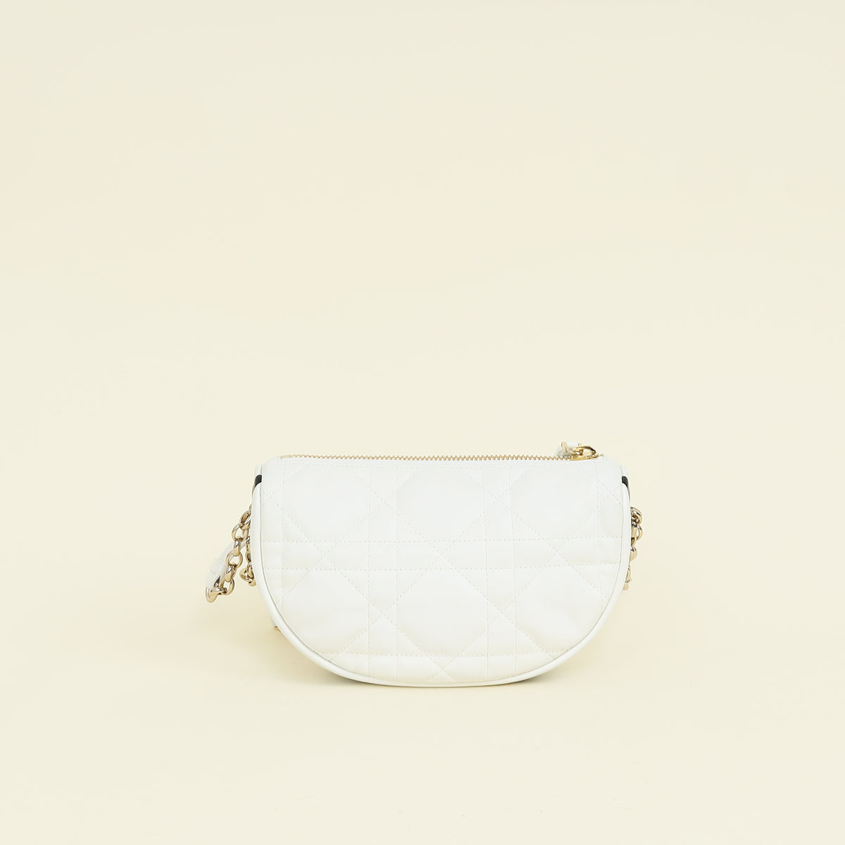 Christian Dior Bicolor Vibe Hobo Bag
