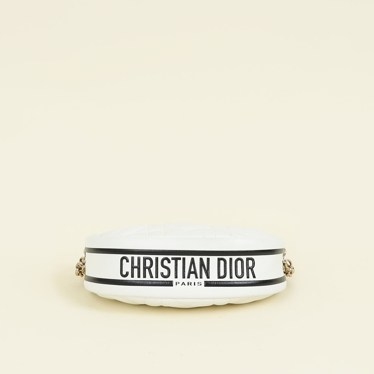 Christian Dior Bicolor Vibe Hobo Bag