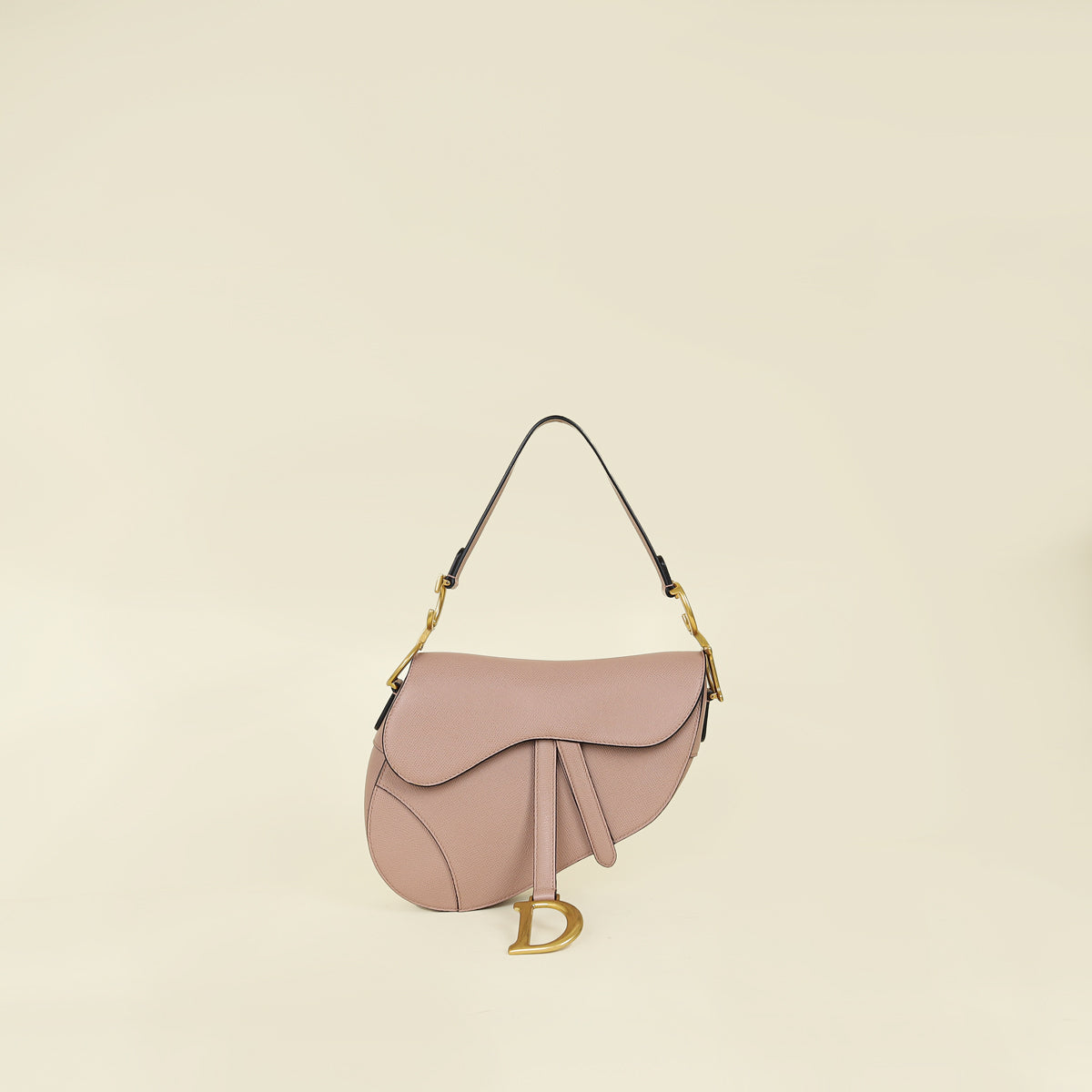 Christian Dior Fard Saddle Medium Bag
