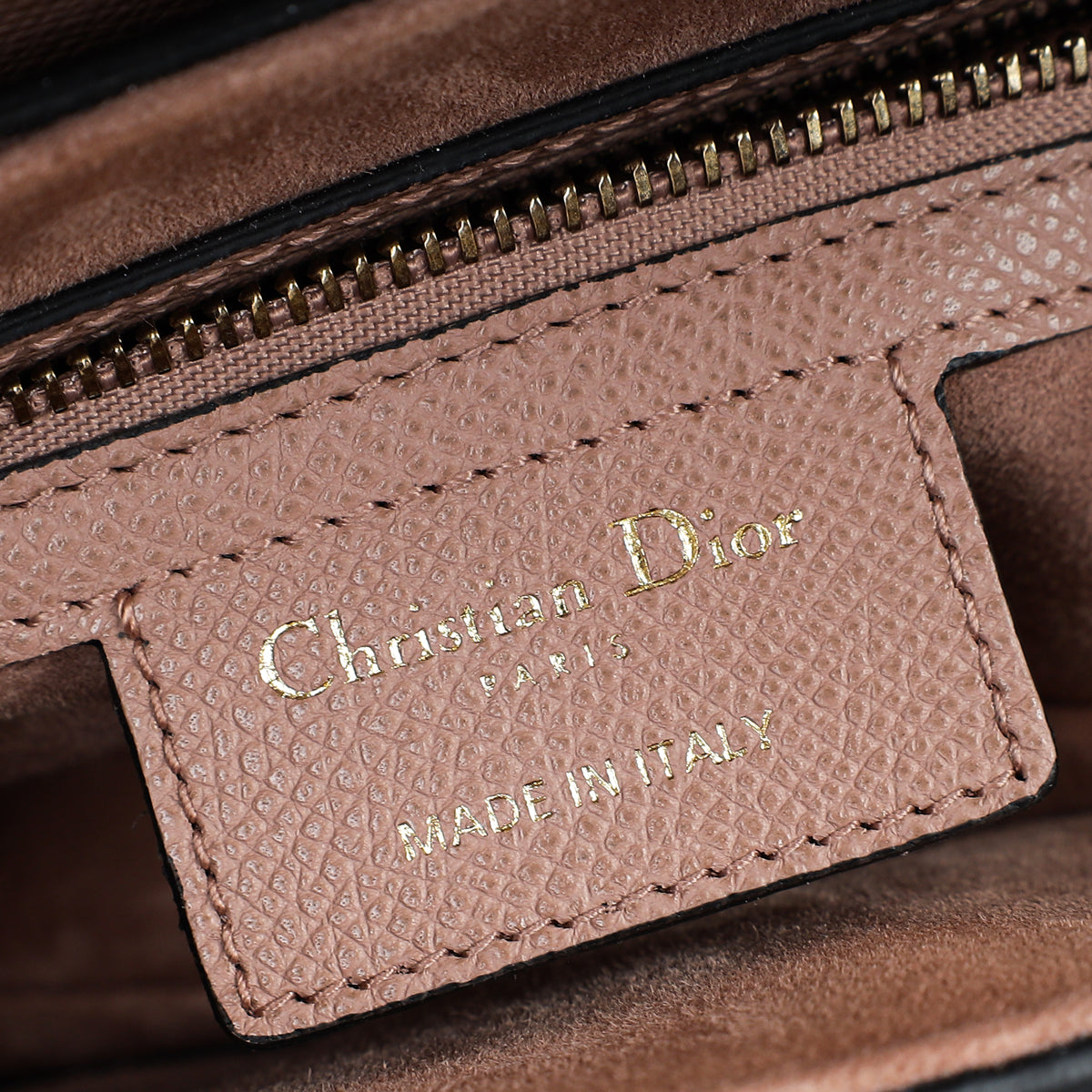 Christian Dior Fard Saddle Medium Bag