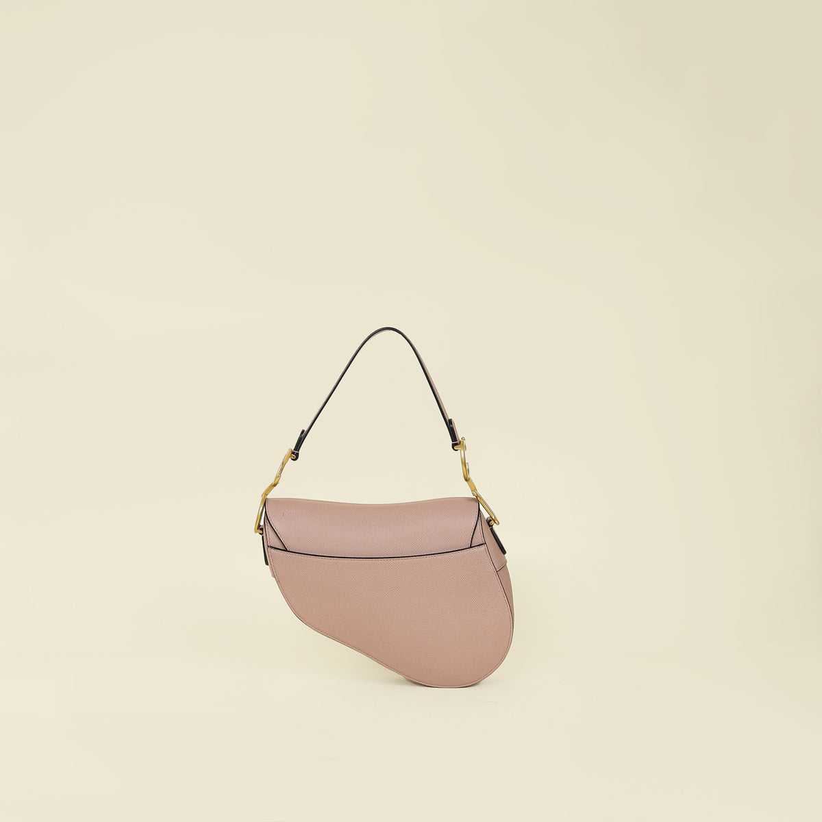 Christian Dior Fard Saddle Medium Bag
