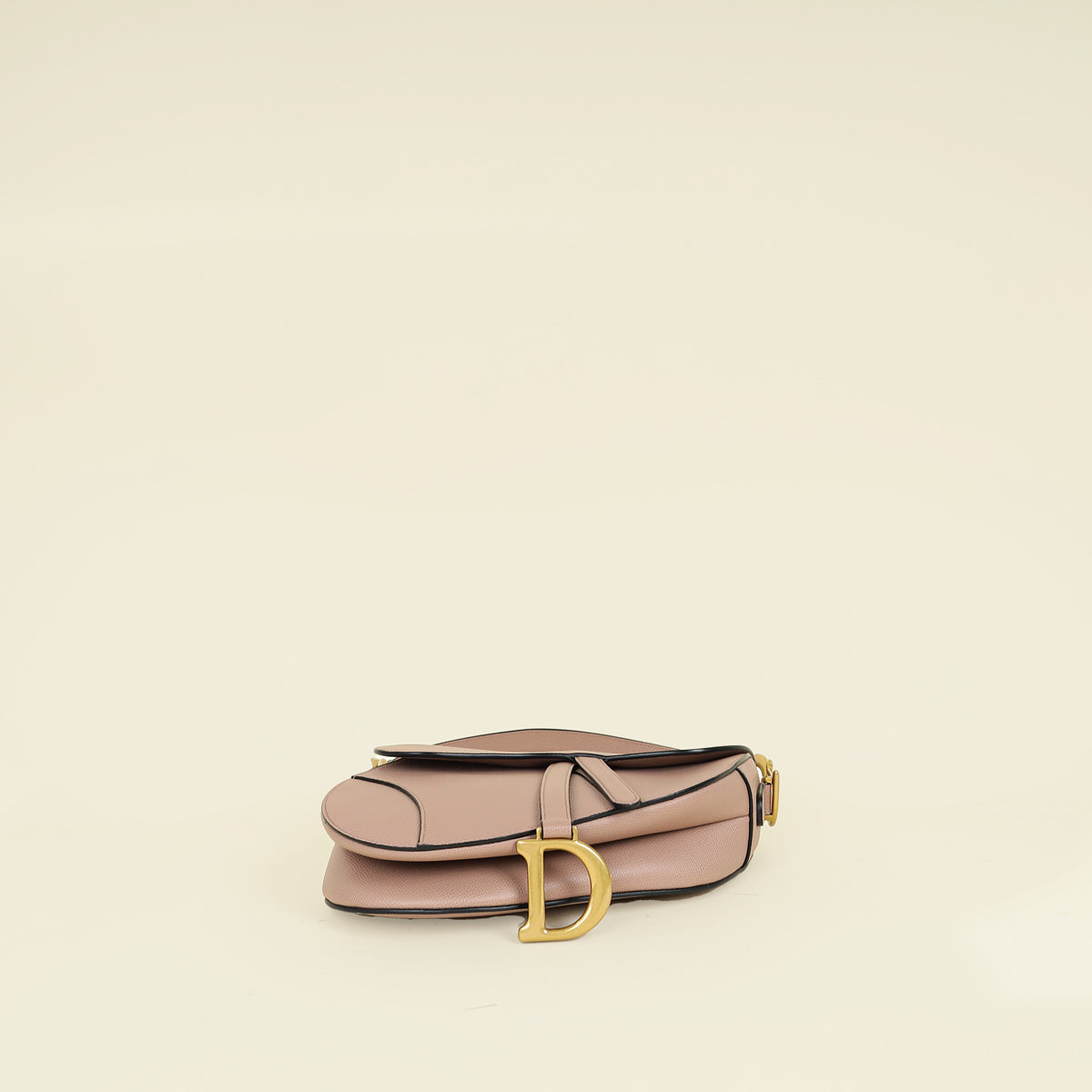 Christian Dior Fard Saddle Medium Bag