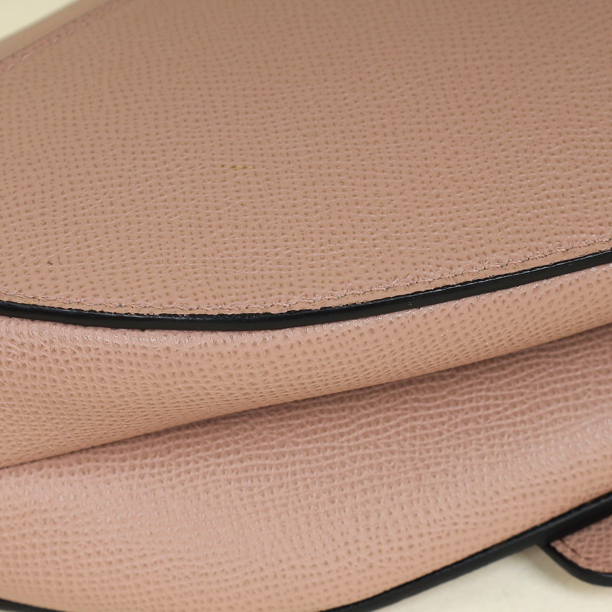 Christian Dior Fard Saddle Medium Bag