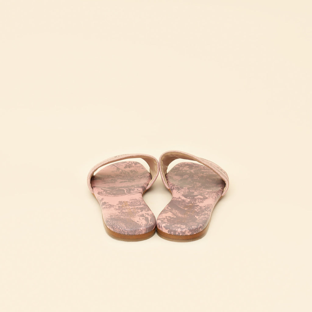 Christian Dior Light Pink Toile De Jouy Motif Dway Slide Mules 39.5