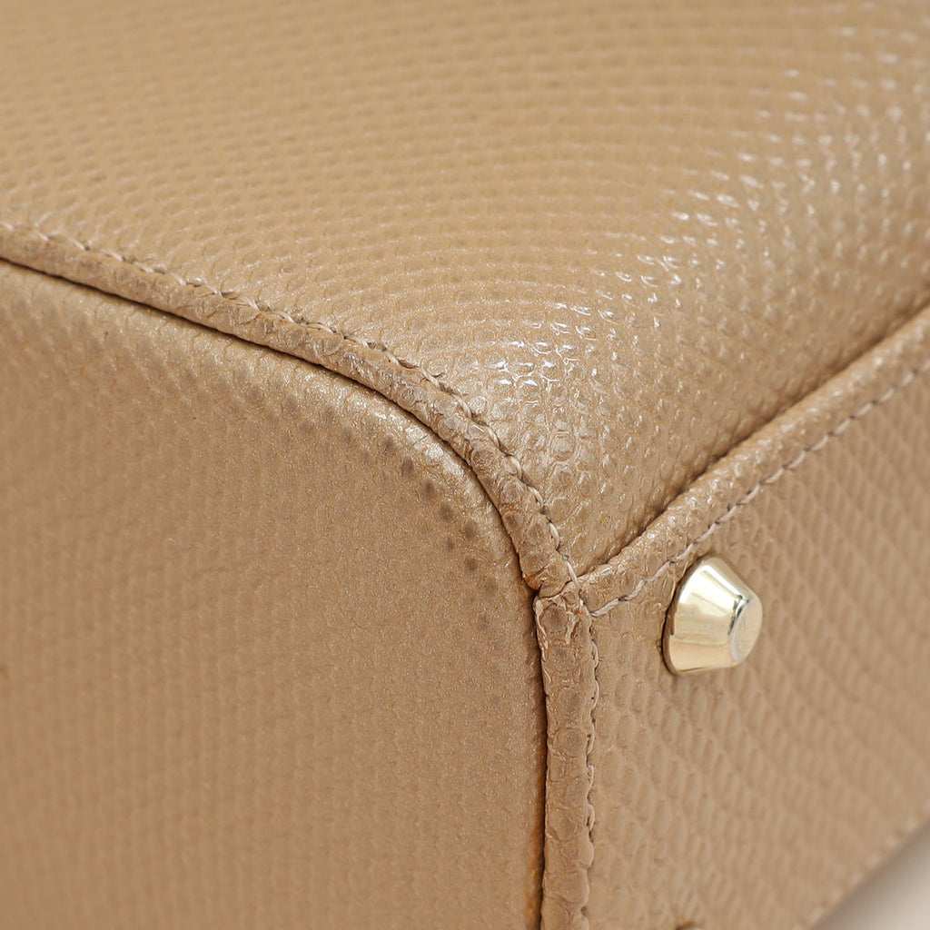 Christian Dior Metallic Beige Embossed Lizard Lady Dior Mini Bag