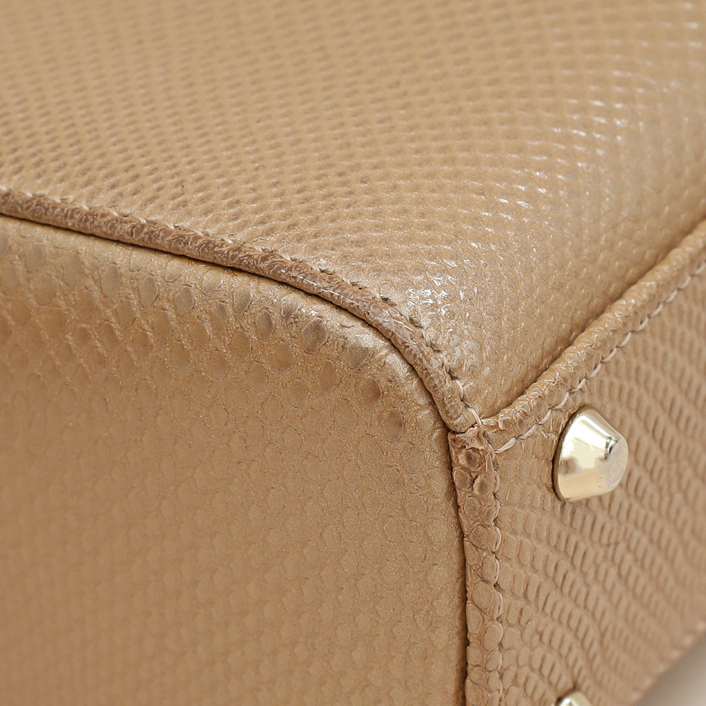 Christian Dior Metallic Beige Embossed Lizard Lady Dior Mini Bag