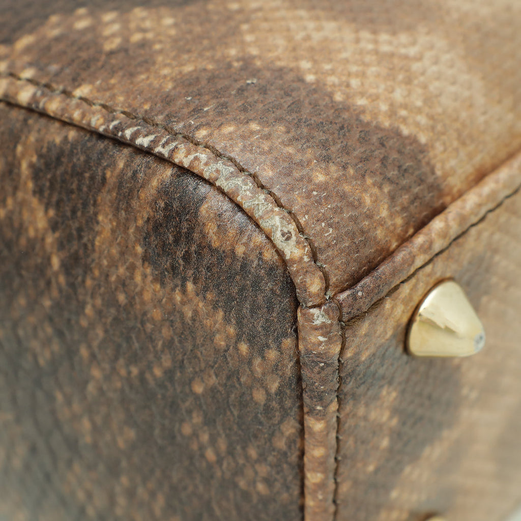 Christian Dior Metallic Bicolor Lizard Lady Dior Small Bag