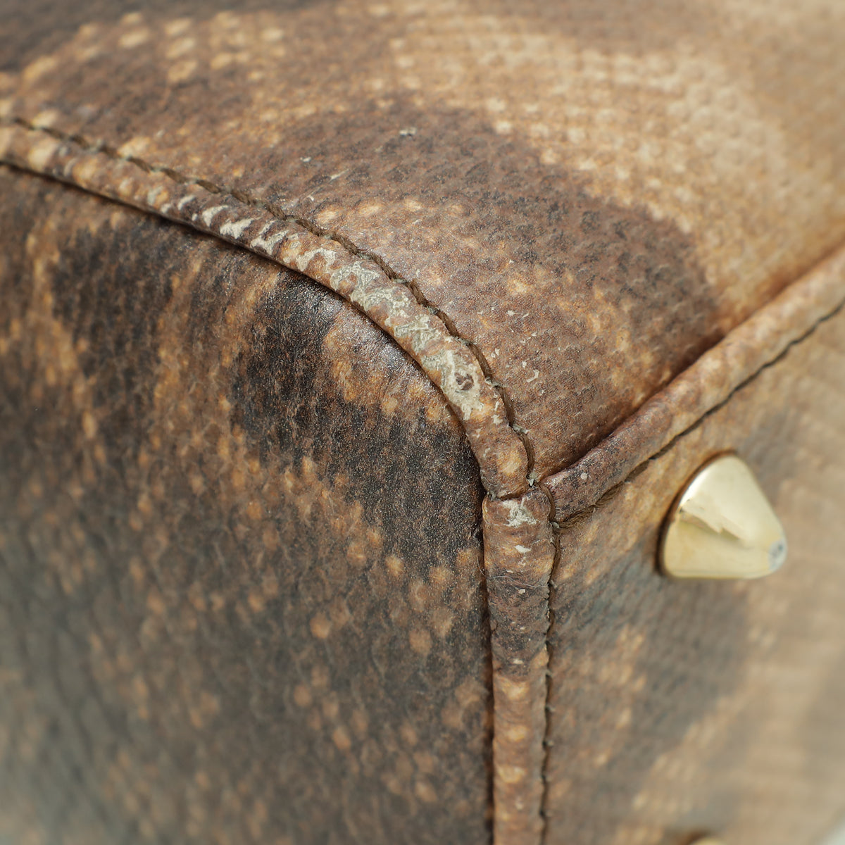 Christian Dior Metallic Bicolor Lizard Lady Dior Small Bag