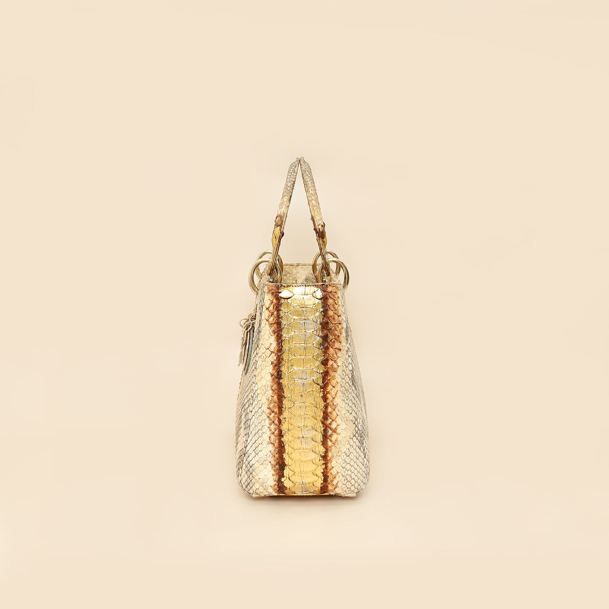 Christian Dior Bicolor Metallic Python Lady Dior medium Bag