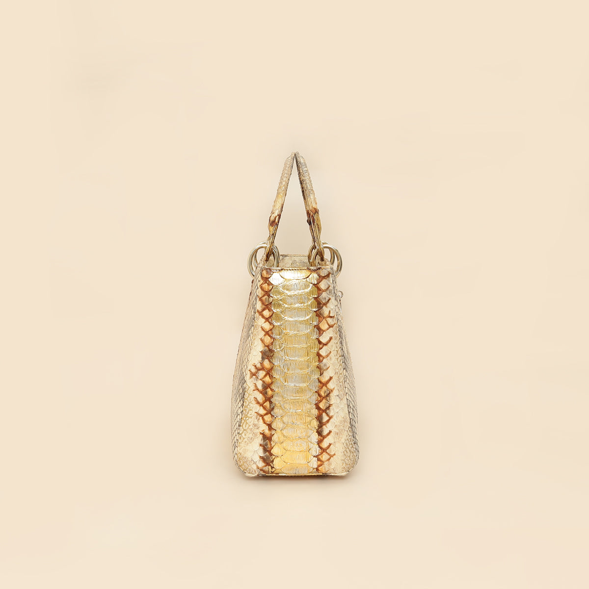 Christian Dior Bicolor Metallic Python Lady Dior medium Bag