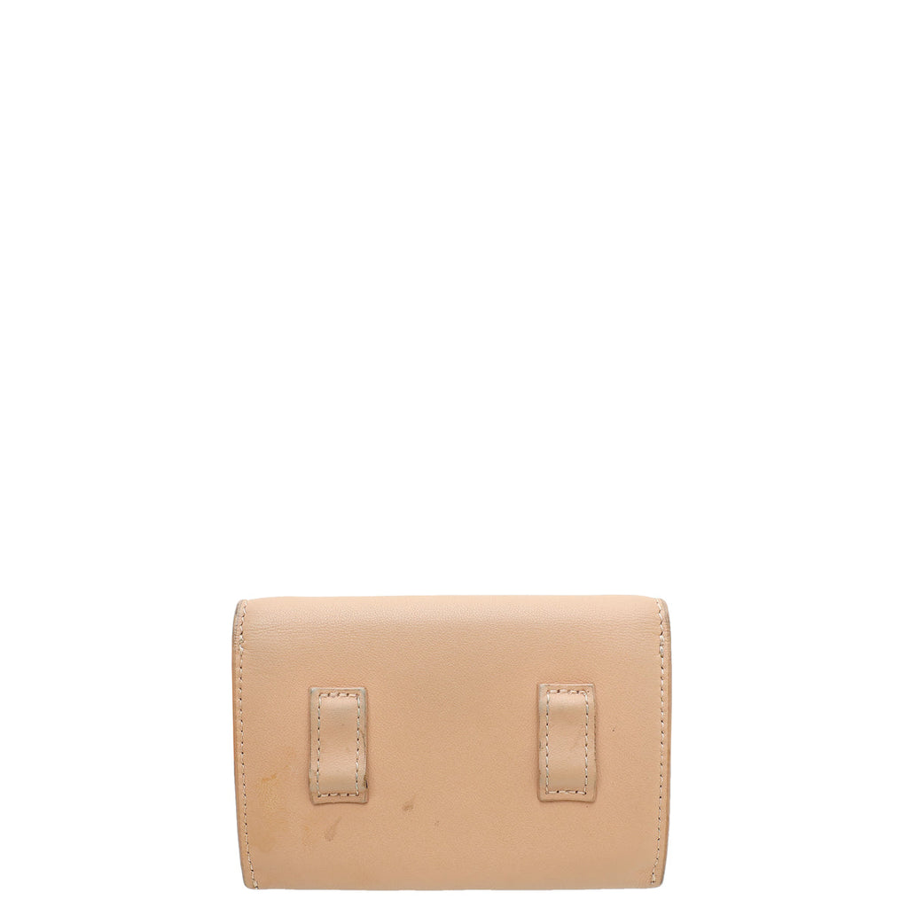 Christian Dior Blush Nano Saddle Chain Pouch