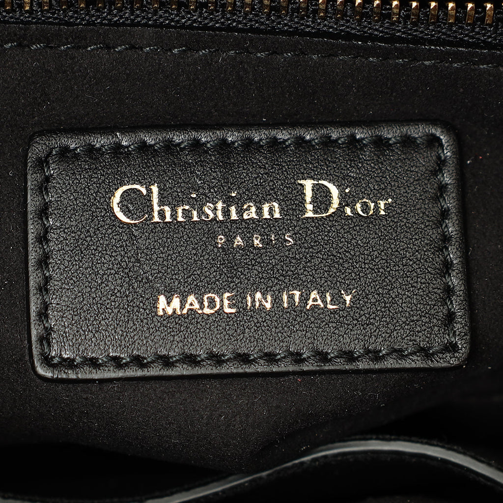 Christian Dior Multicolor Lady Dior Mini Embroidered Bag
