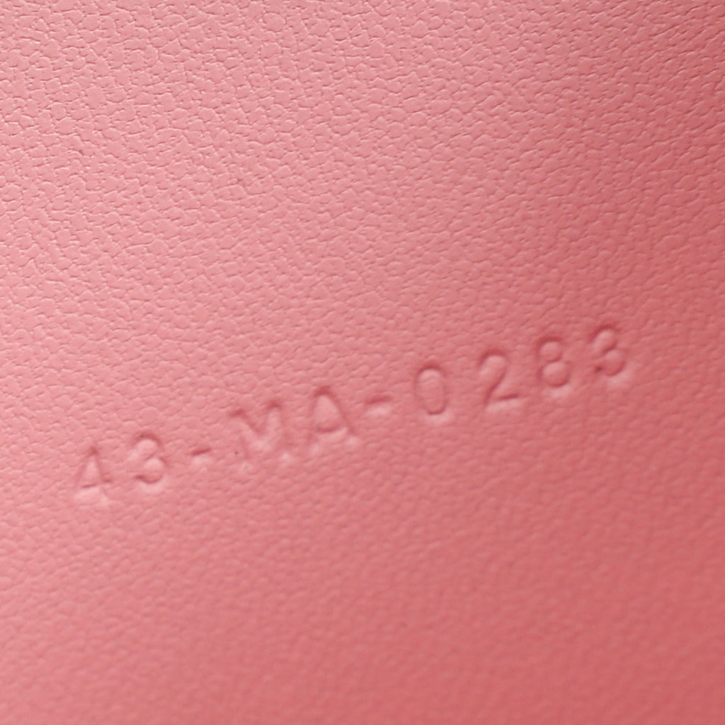Christian Dior Pale Pink Dioramour Dior Caro Heart Pouch with Chain