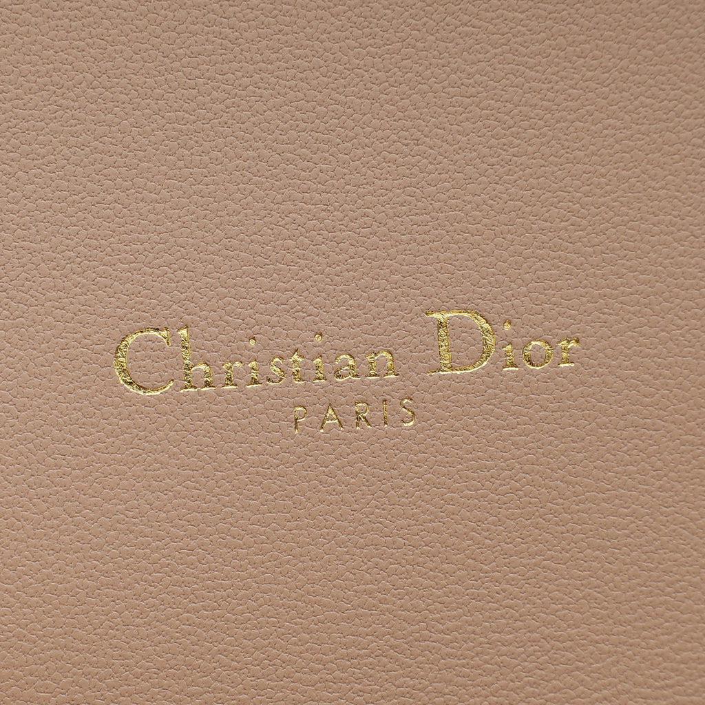 Christian Dior Rose De Vents Caro Pouch with Chain