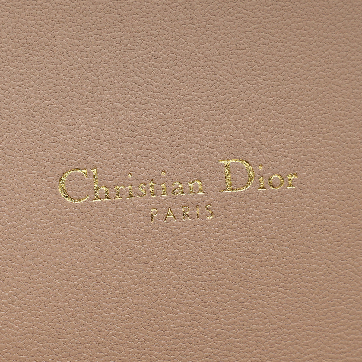 Christian Dior Rose De Vents Caro Pouch with Chain