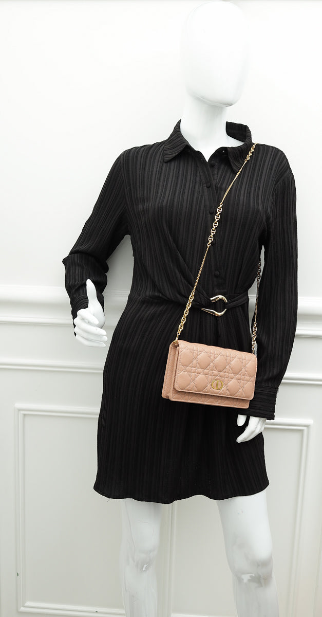 Christian Dior Rose De Vents Caro Pouch with Chain