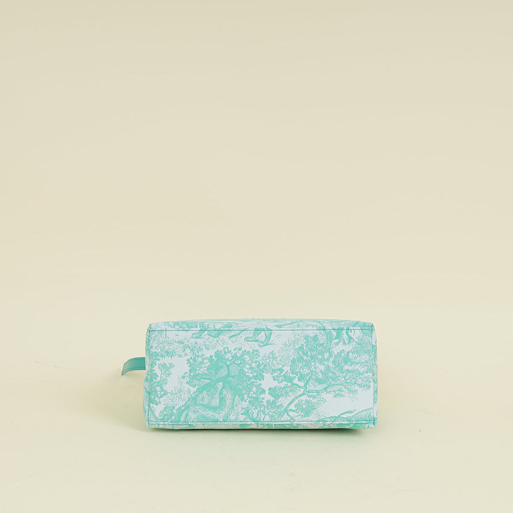 Christian Dior Aqua Toile de Jouy DiorTravel Nomad Medium Pouch