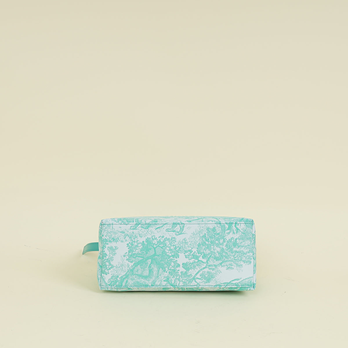 Christian Dior Aqua Toile de Jouy DiorTravel Nomad Medium Pouch