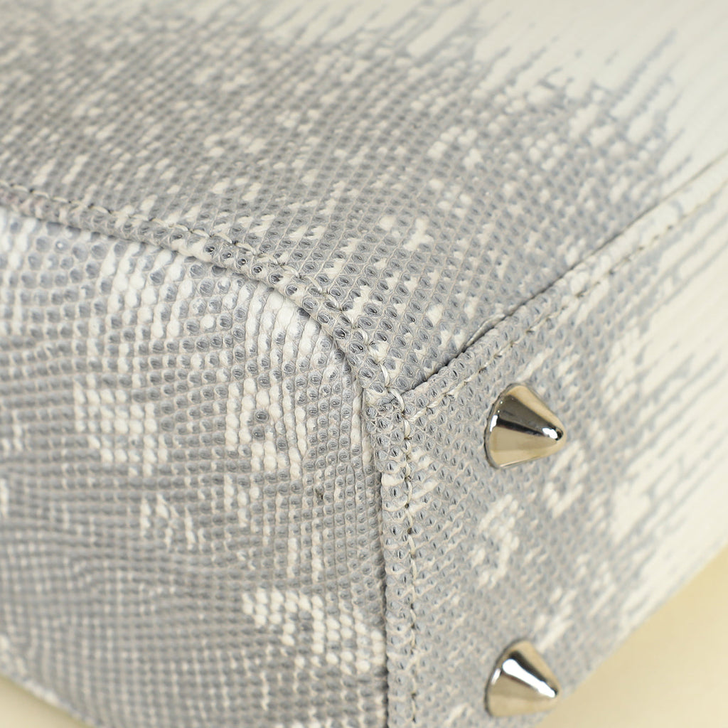 Christian Dior White Ombre Lizard Lady Dior Small Bag