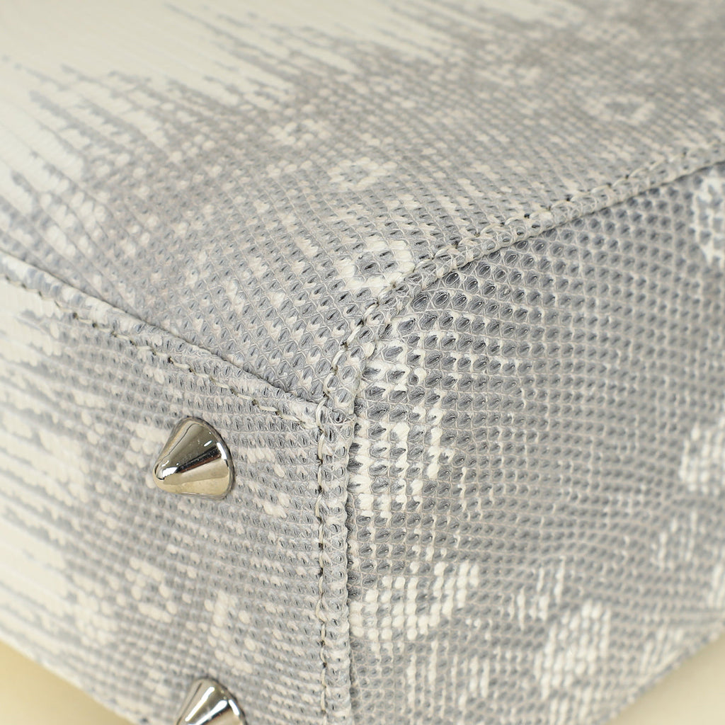 Christian Dior White Ombre Lizard Lady Dior Small Bag