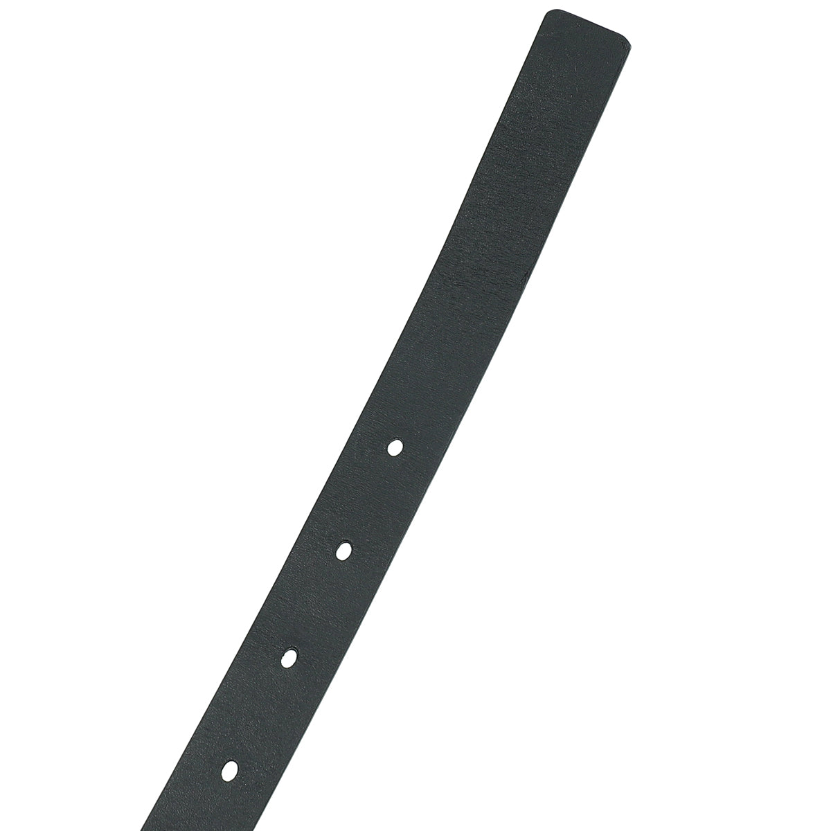 Christian Dior Black Saddle 20mm Belt