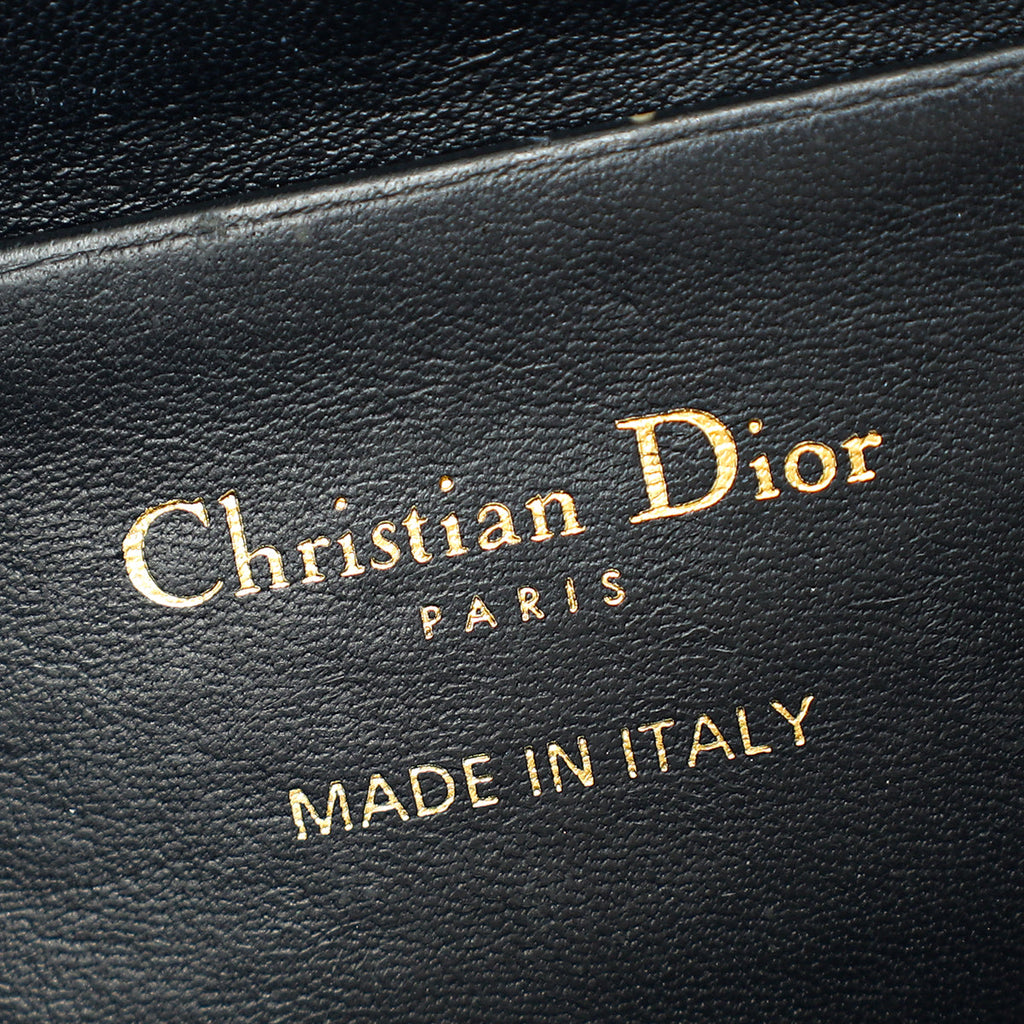 Christian Dior Bicolor Oblique 30 Montaigne Dea Pouch