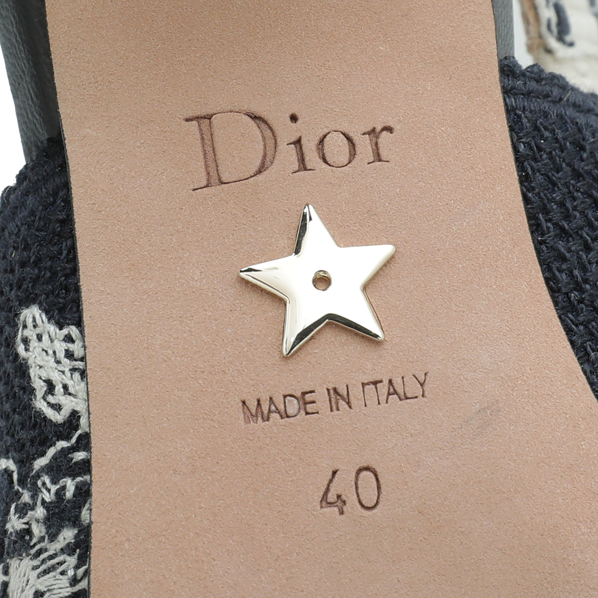 Christian Dior Bicolor J'adior Toile De Jouy Slingback Pump 40