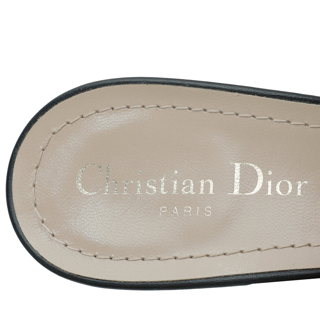 Christian Dior Bicolor J'adior Toile De Jouy Slingback Pump 40
