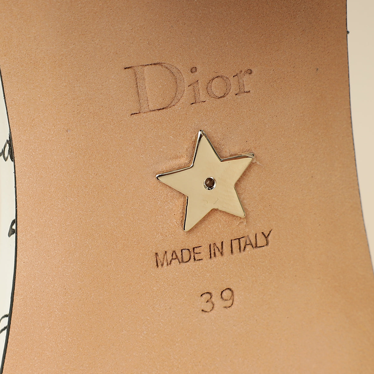 Christian Dior Bicolor Dway Dioramour Embroidered Slide Sandal 39