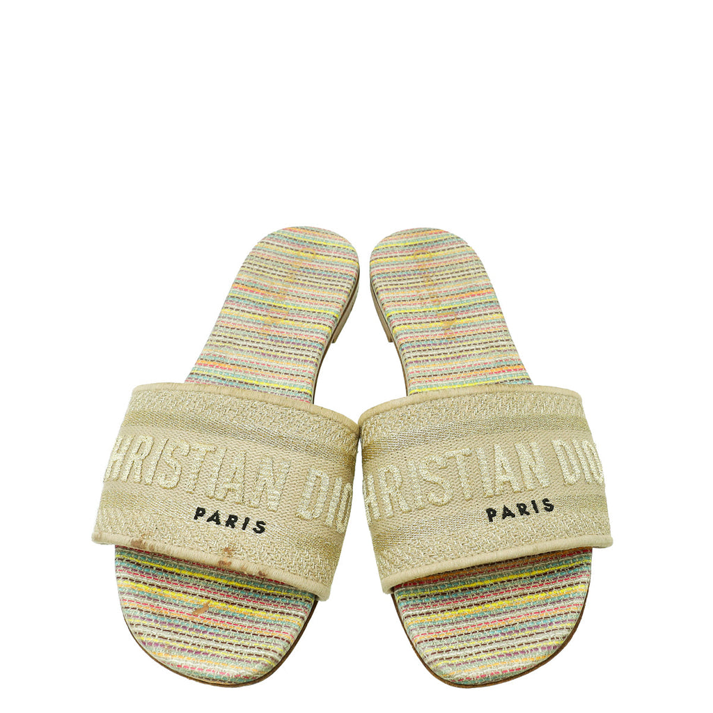 Christian Dior Metallic Multicolor Dway D-Romance Flat Mules 36