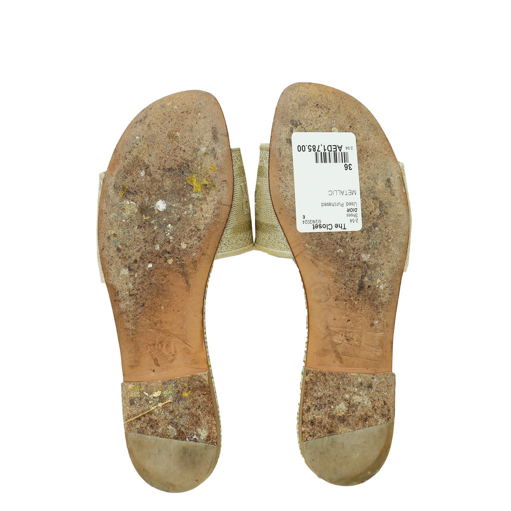 Christian Dior Metallic Multicolor Dway D-Romance Flat Mules 36