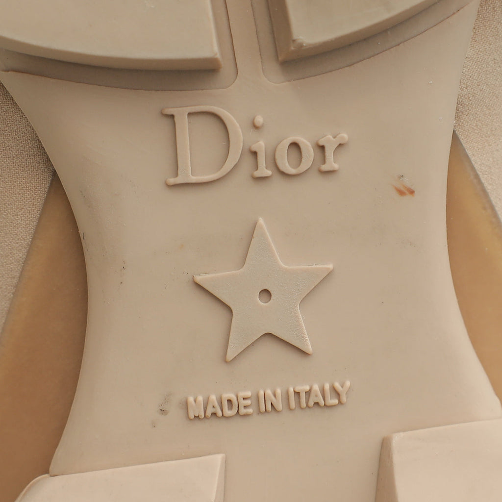 Christian Dior Nude D Connect Sneakers 38