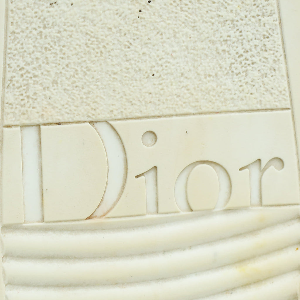 Christian Dior Bicolor Oblique B23 Low Top Sneaker 40