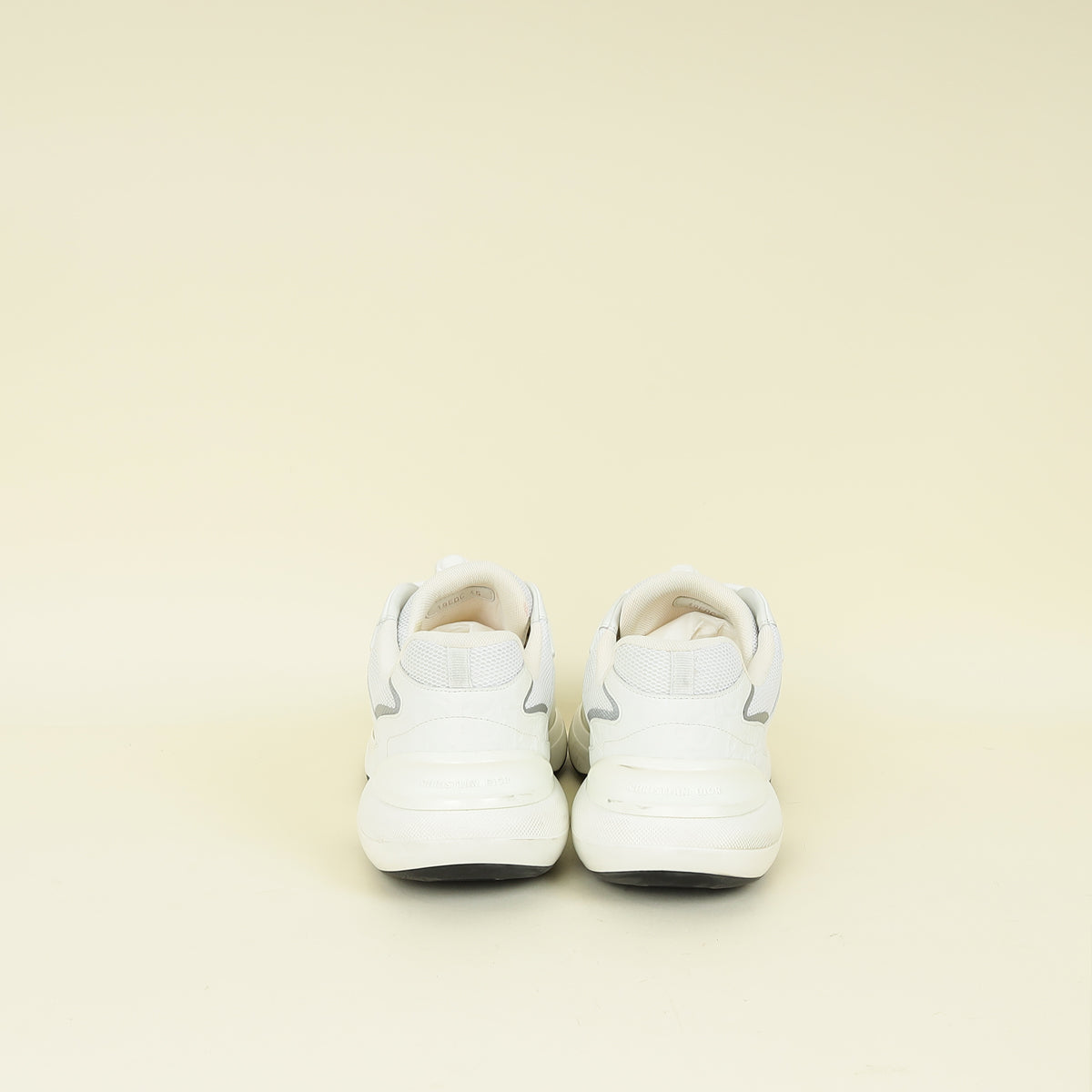 Christian Dior Bicolor B24 Mesh Sneaker 45