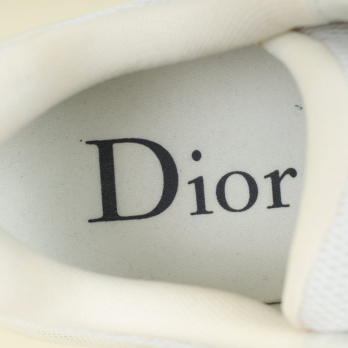 Christian Dior Bicolor B24 Mesh Sneaker 45