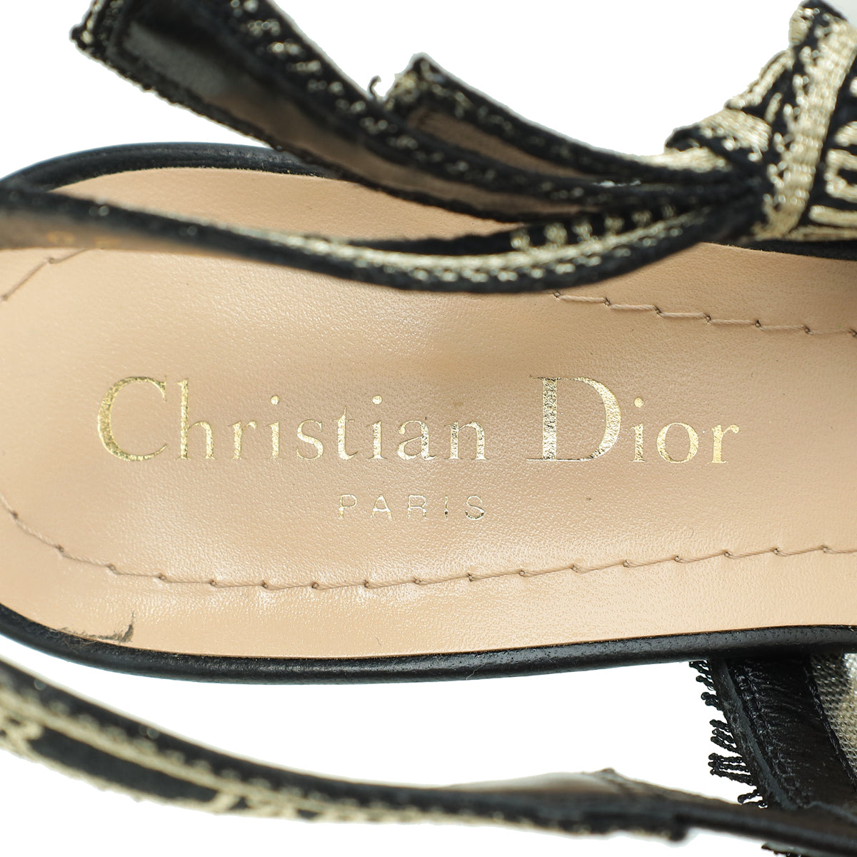 Christian Dior Bicolor Butterfly Motif Mesh Embroidered J'Adior Slingback 36