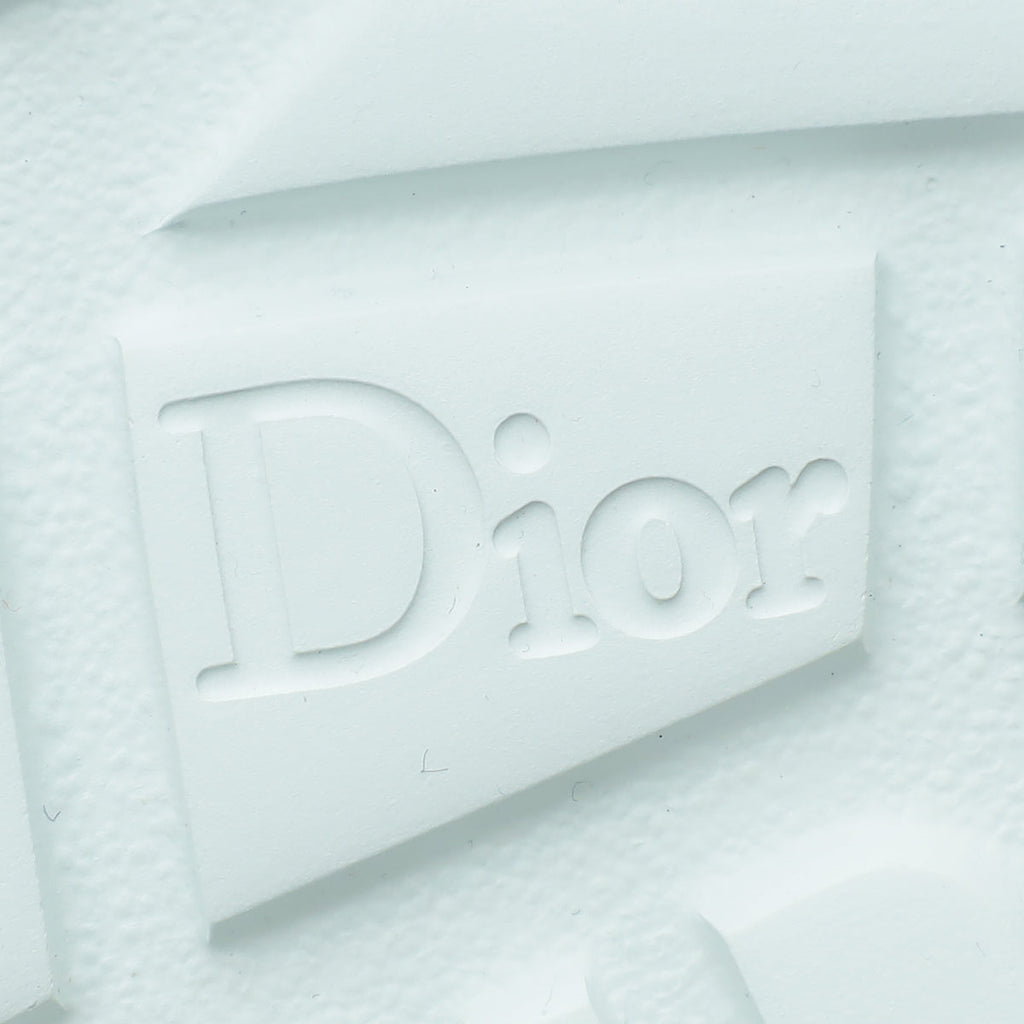 Christian Dior Bicolor Dioramour Addict Sneaker 37