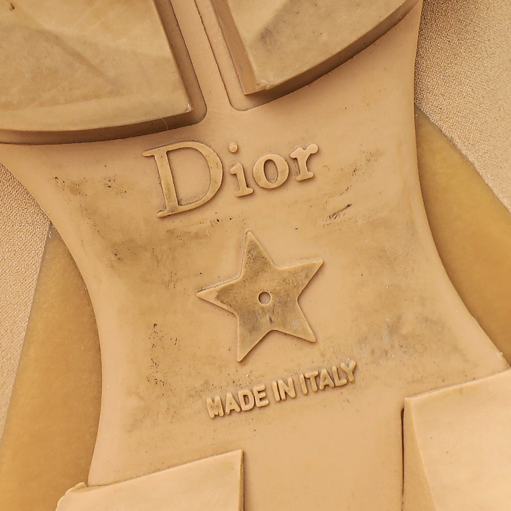 Christian Dior Nude D-Connect Sneaker 38